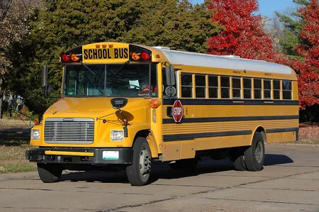 Reading 47 Passenger School Bus