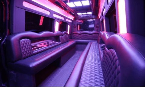 York 14 Passenger Sprinter Bus Interior