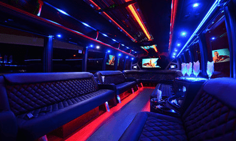 Erie 30 Passenger Party Bus Black Interior