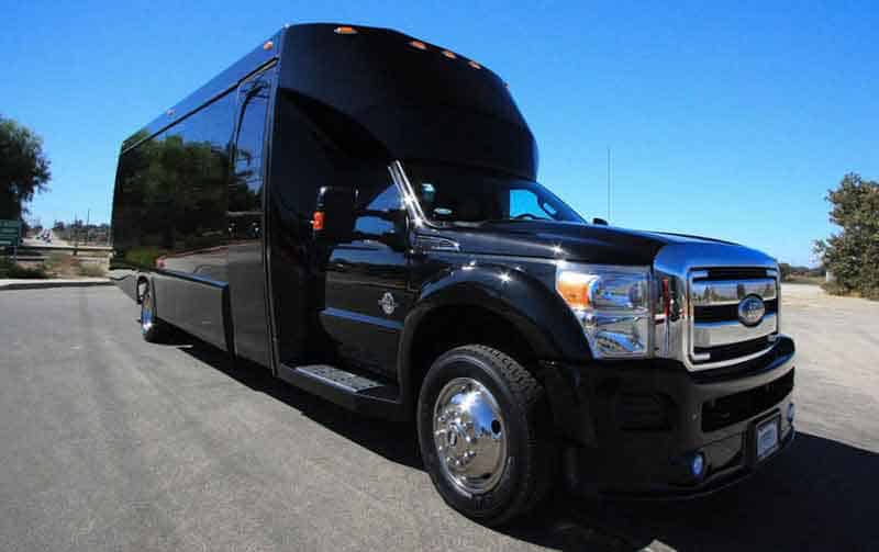 Reading 30 Passenger Party Bus Black